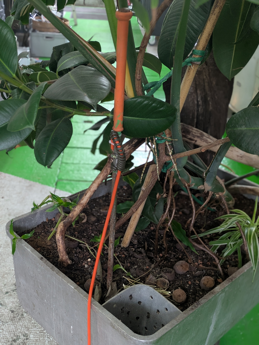 IoLT Electro Culture Antenna at Verte Inc. Nevers