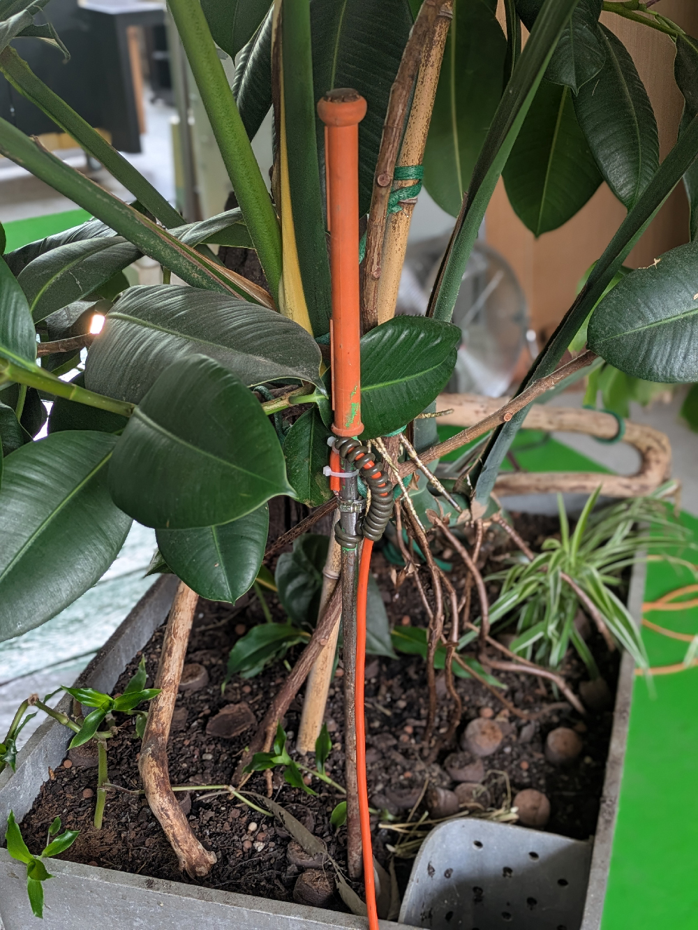 IoLT Electro Culture Antenna at Verte Inc. Nevers