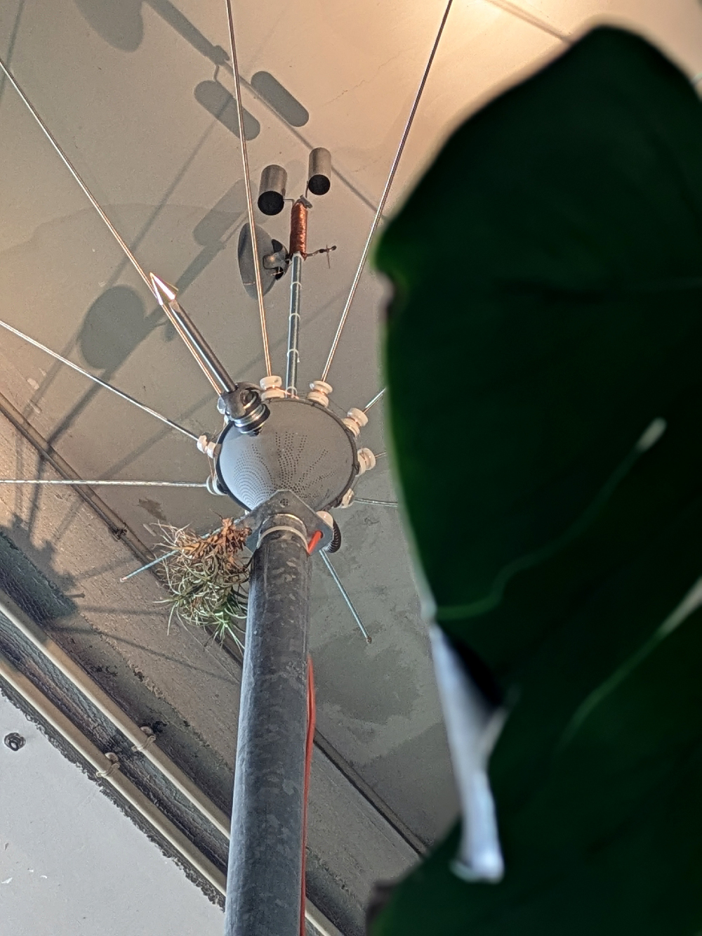 IoLT Electro Culture Antenna at Verte Inc. Nevers