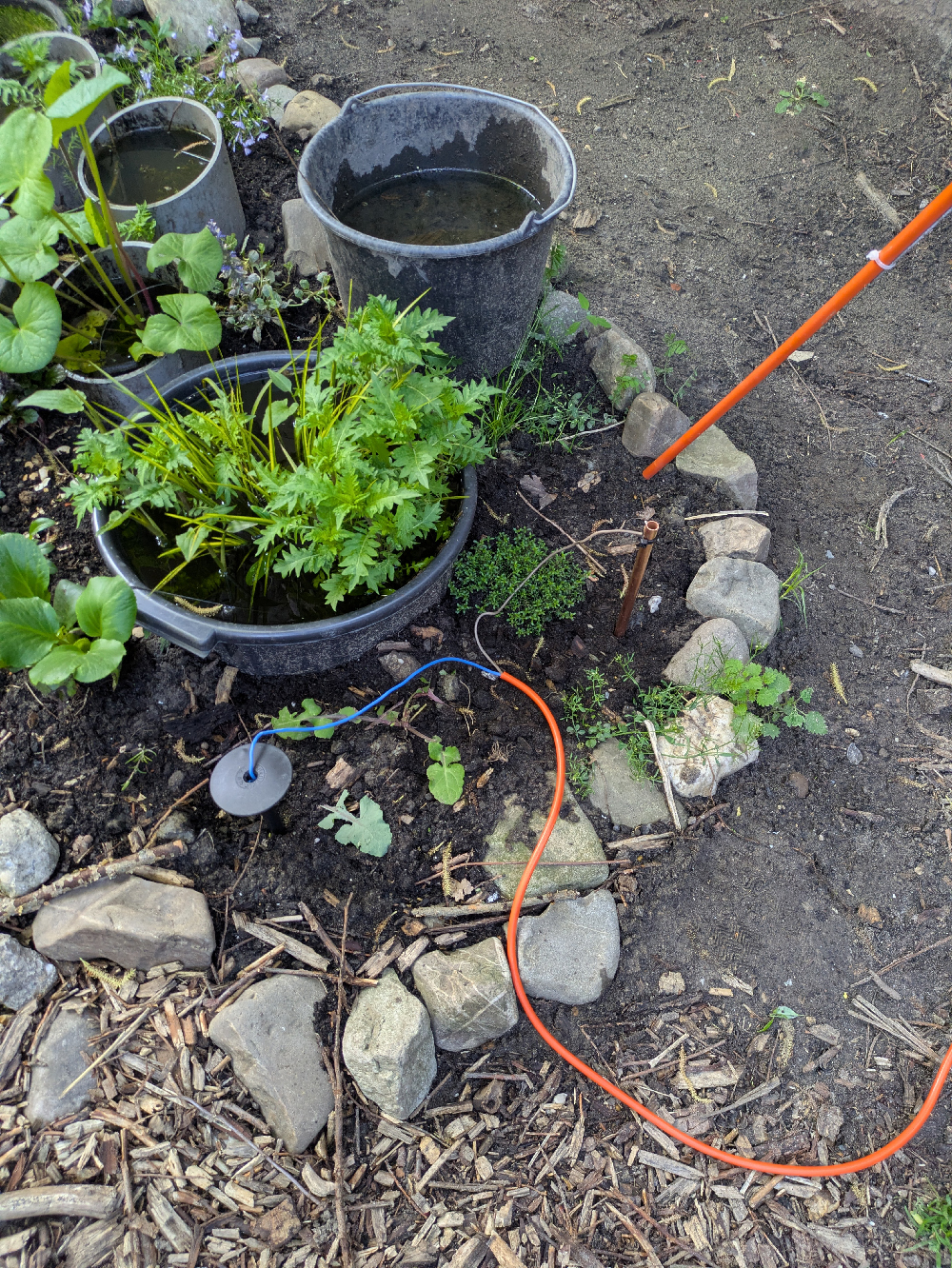 IoLT Electro Culture Antenna at CCU